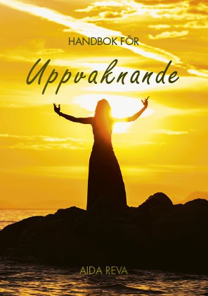 Aida Reva : Handbok för uppvaknande