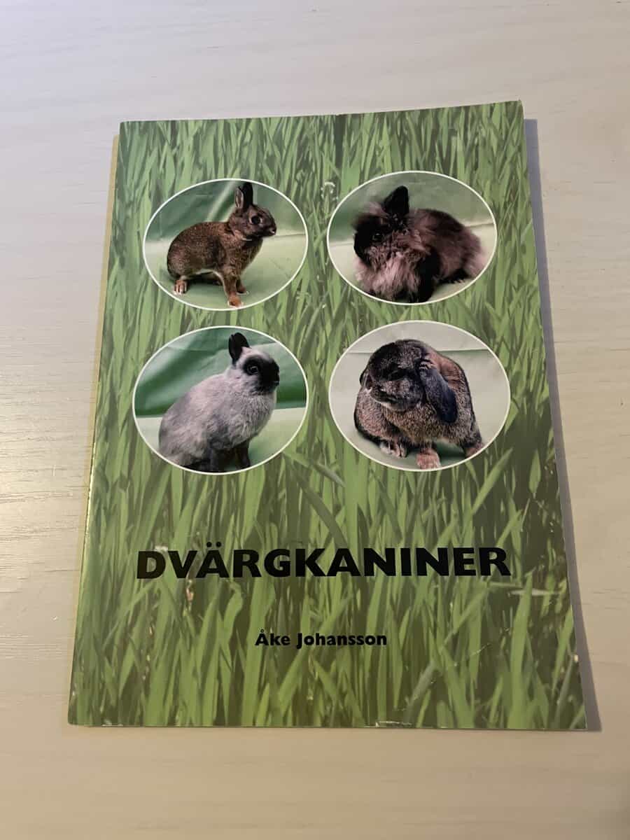 Åke Johansson : Dvärgkaniner