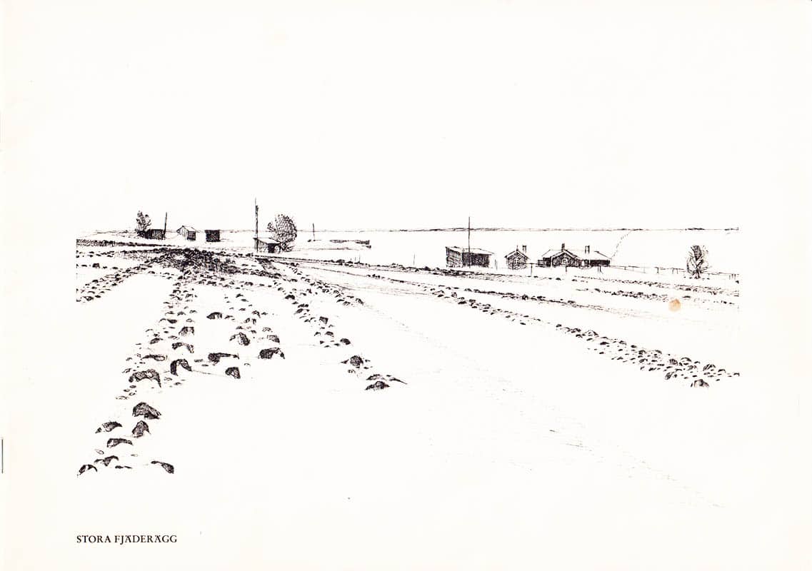 Åke Pettersson-Nåw : Åke Pettersson-Nåw en Presentation (två tryck)