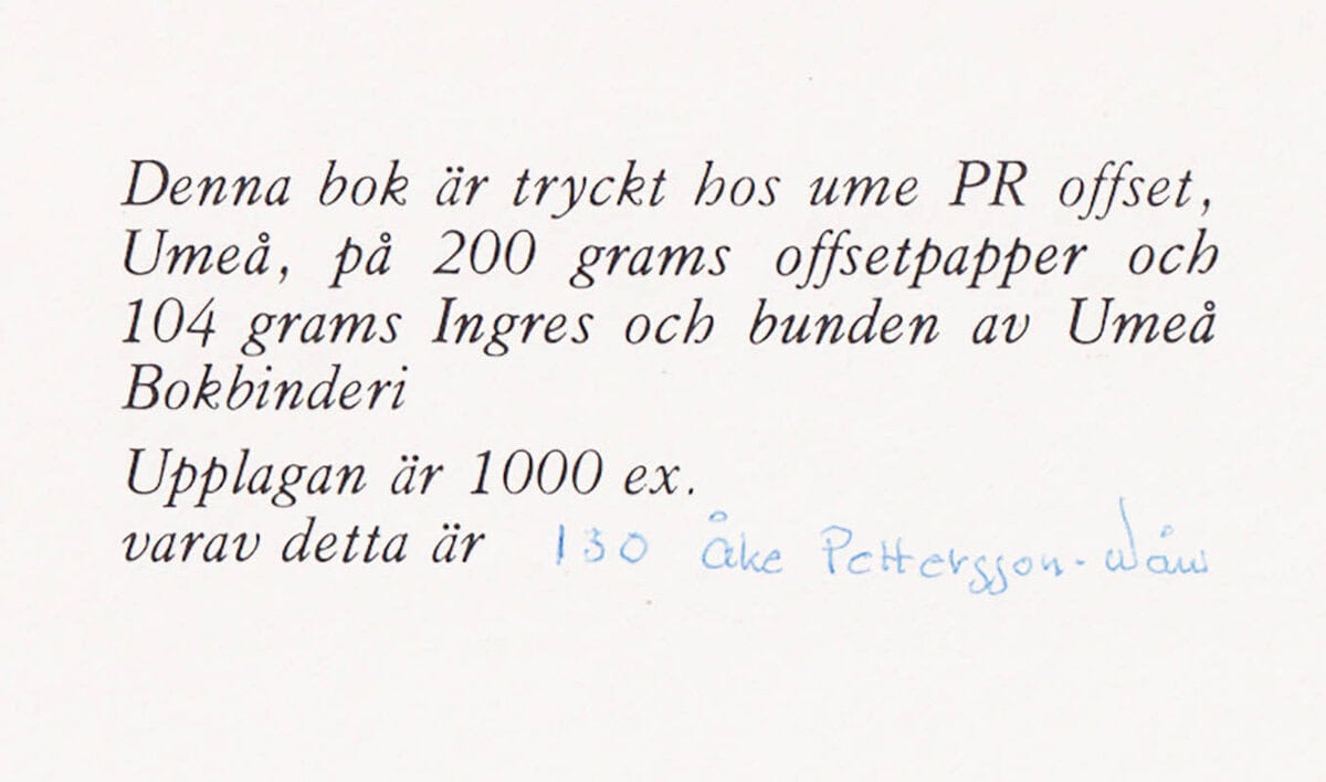 Åke Pettersson-Nåw : Umeå vinterstad