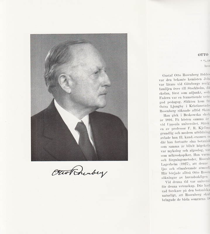 Albert Levan : Otto Rosenberg 9/8 1872 - 30/11 1948. Invald 4/11 1931