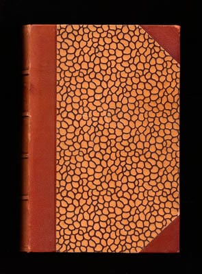 Albert Vandal : Bonaparte och Brumaire