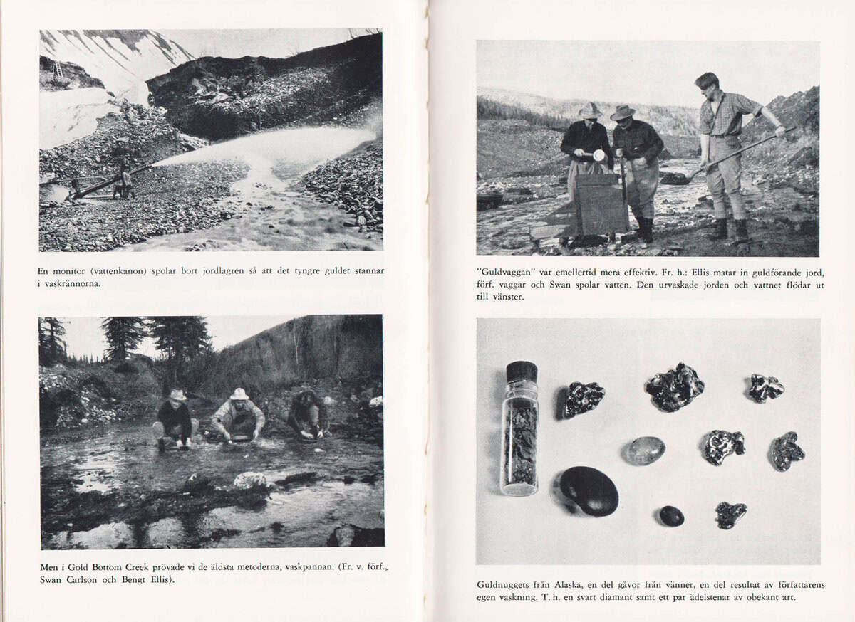 Albert Viksten : I guldjägares spår