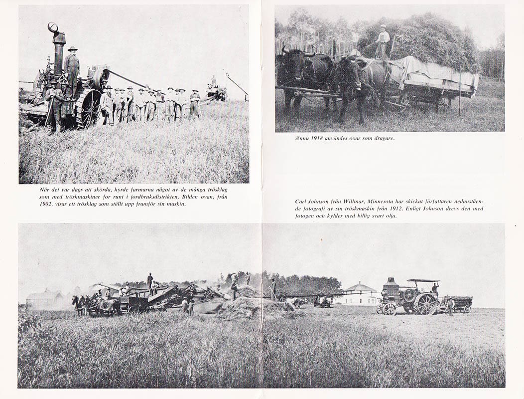 Albin Widén : Nybyggarliv i Svensk-Amerika