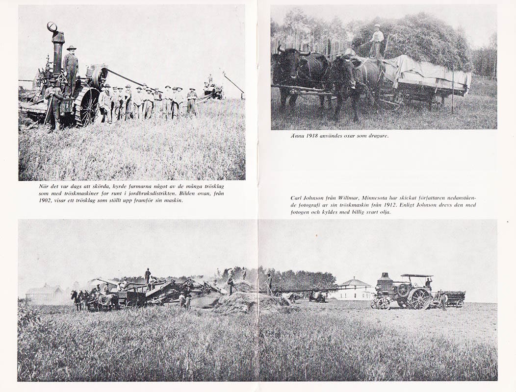 Albin Widén : Nybyggarliv i Svensk-Amerika