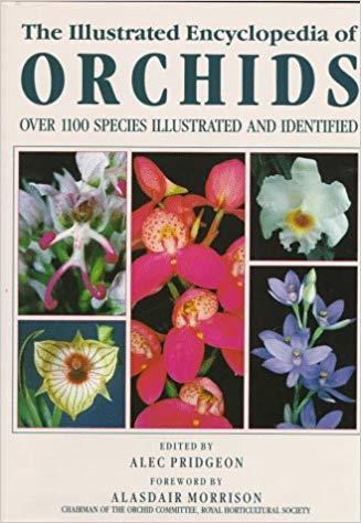 Alec M Pridgeon : The illustrated encyclopedia of orchids