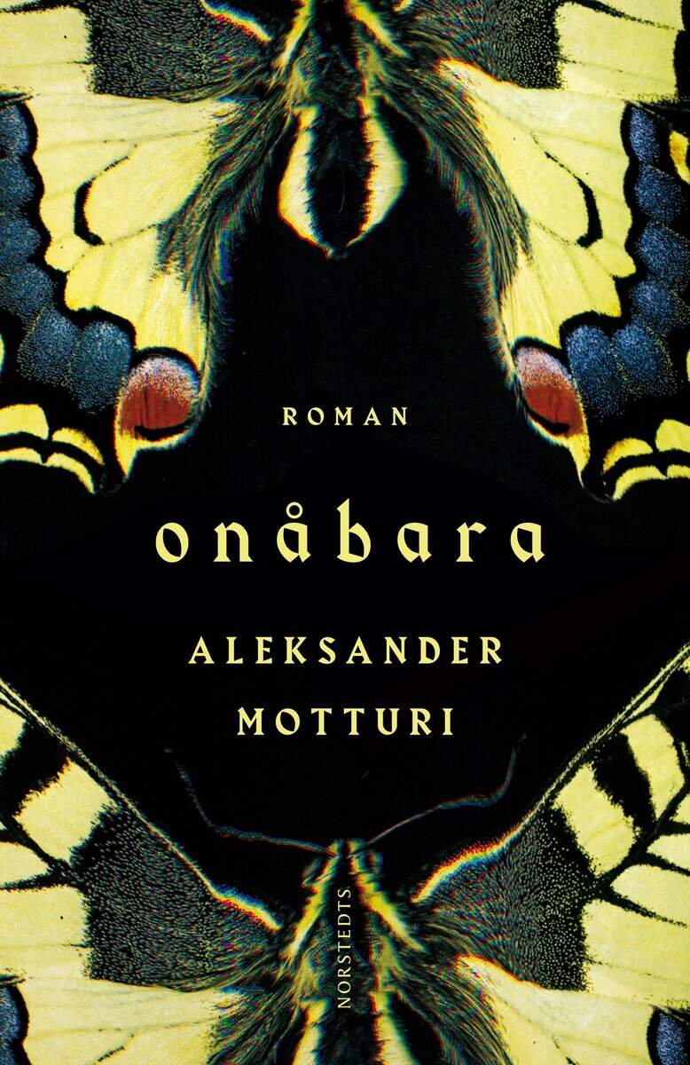 Aleksander Motturi : Onåbara
