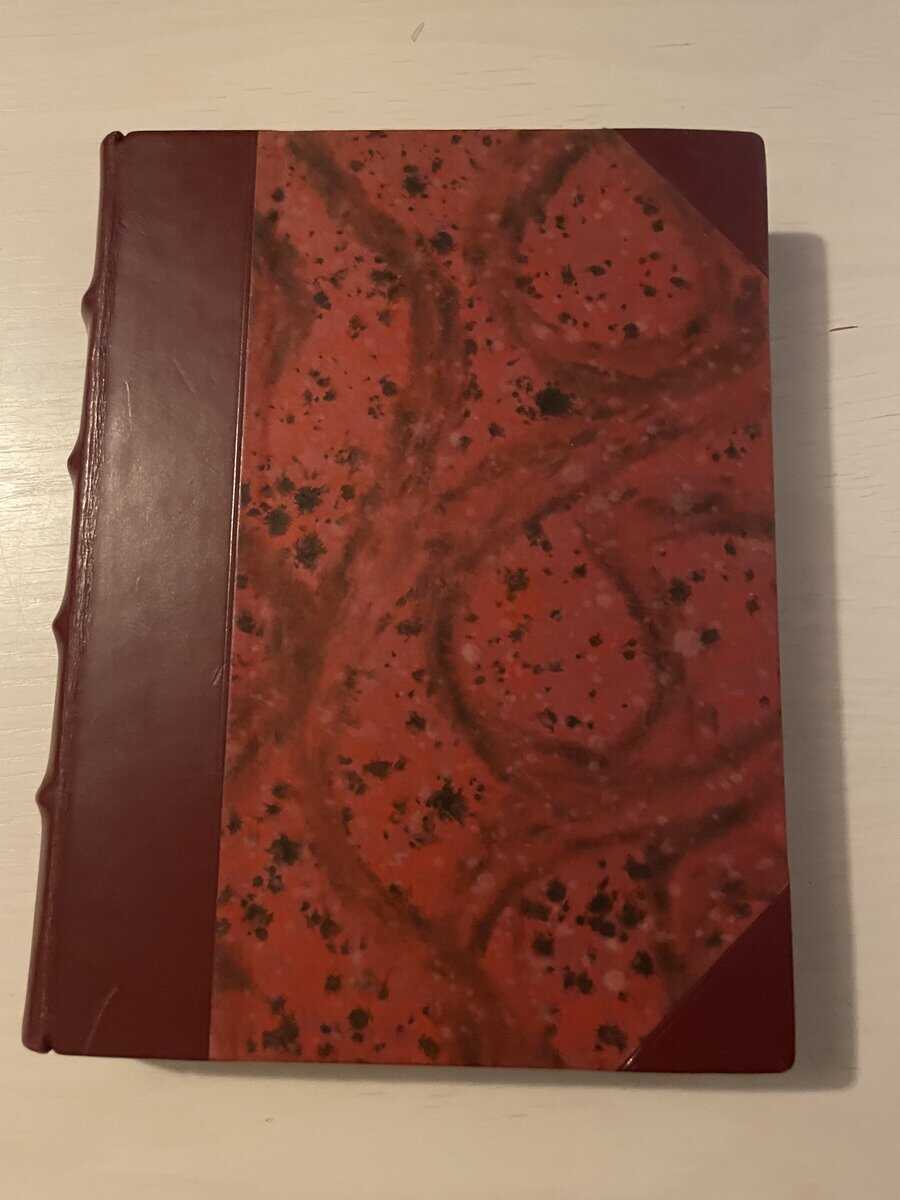 Aleksis Kivi : Sju bröder