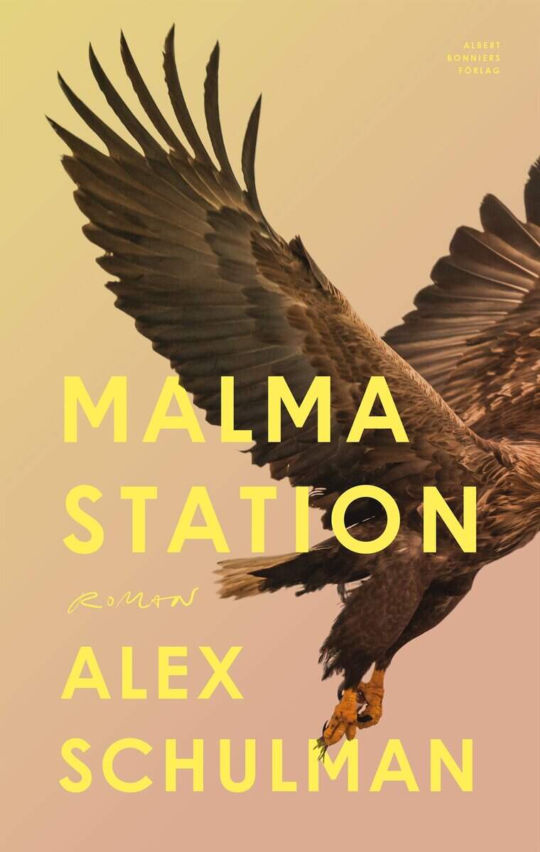 Alex Schulman : Malma station