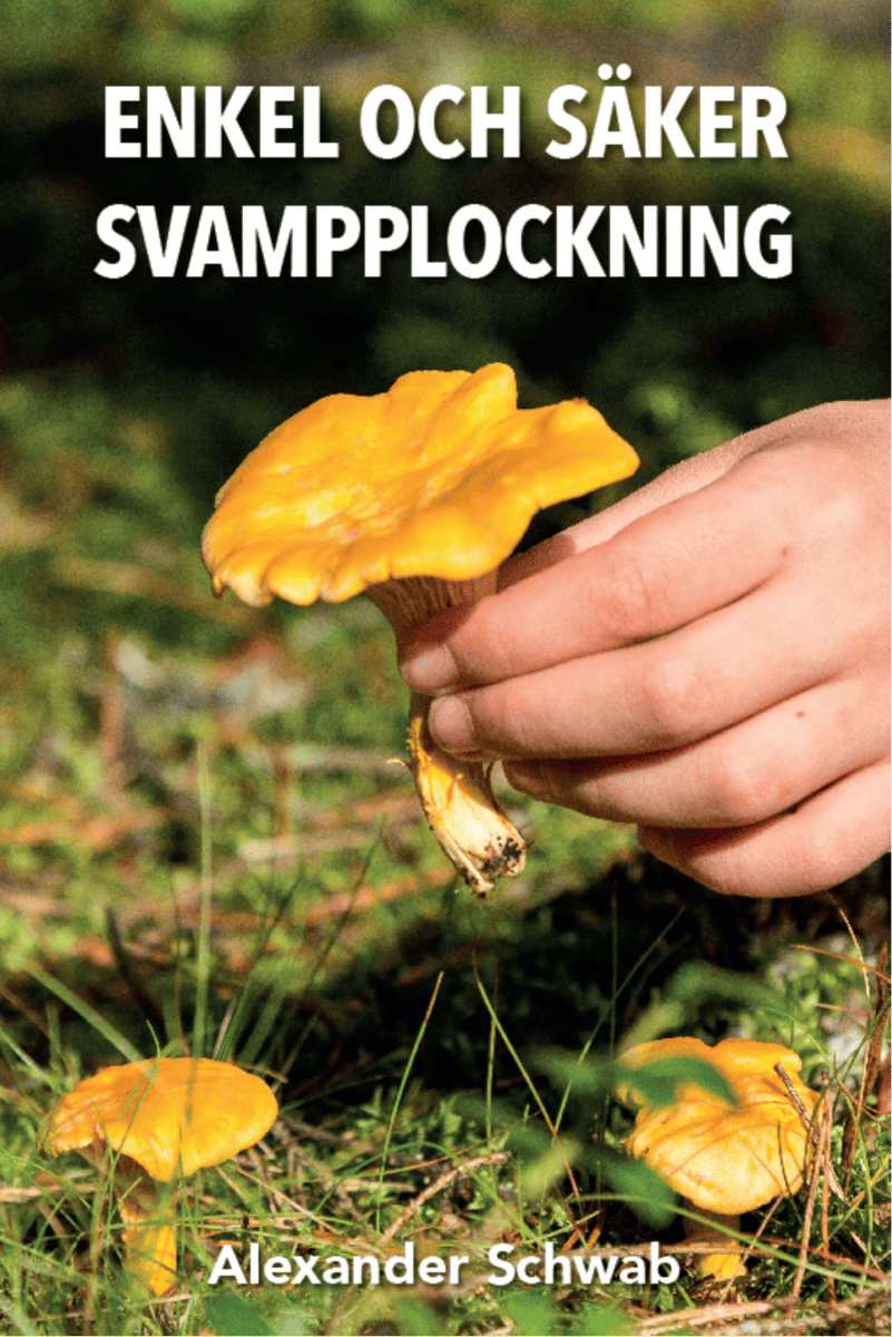 Alexander Schwab : Enkel och säker svamplockning