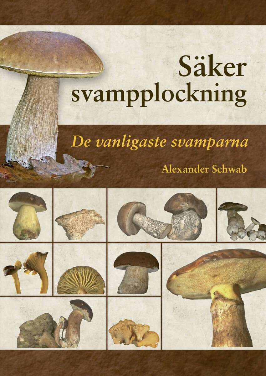 Alexander Schwab : Säker svampplockning : de vanligaste svamparna
