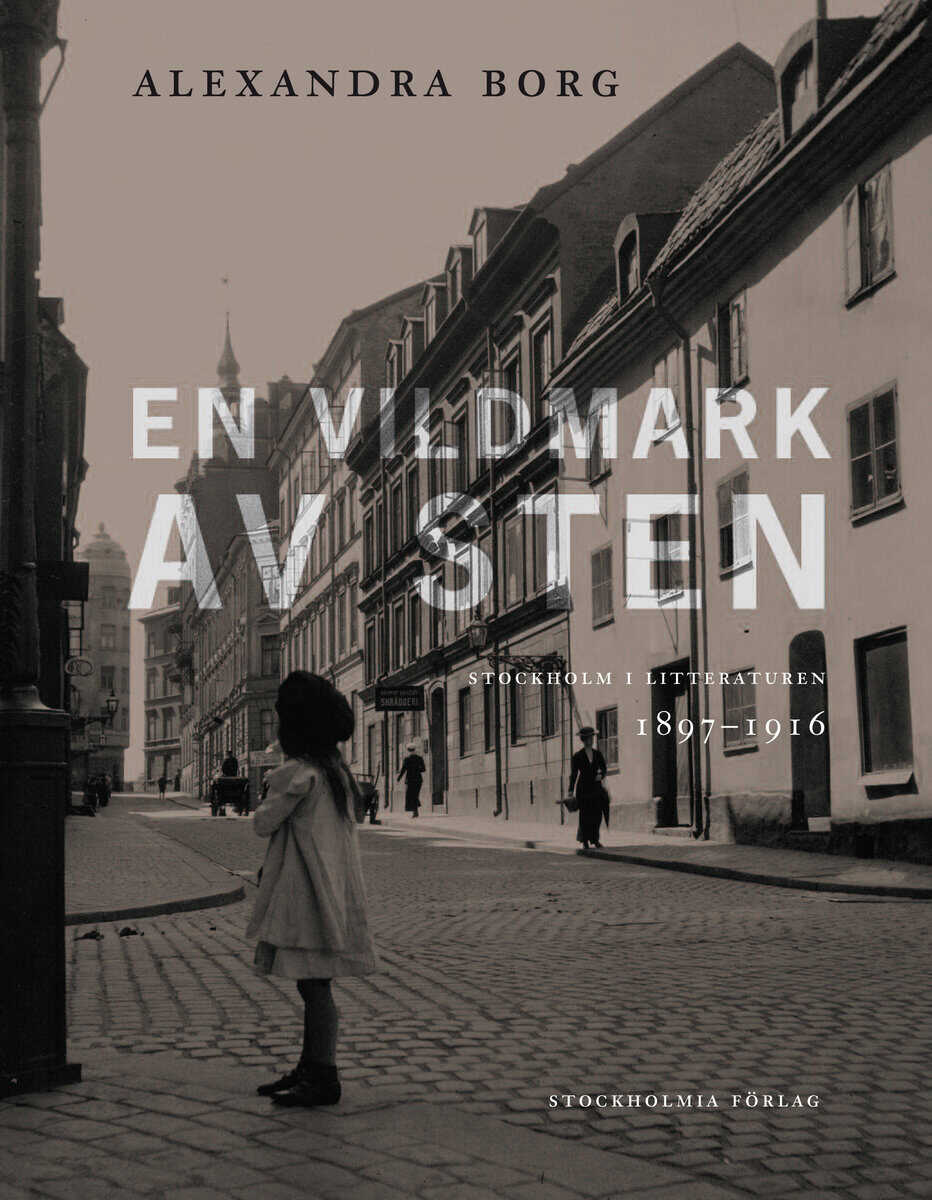 Alexandra Borg : En vildmark av sten : Stockholm i litteraturen 1897-1916