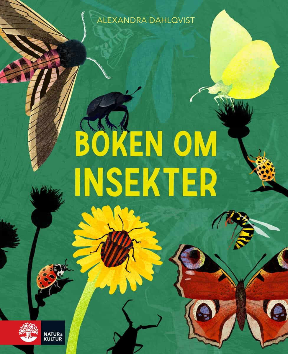 Alexandra Dahlqvist : Boken om insekter