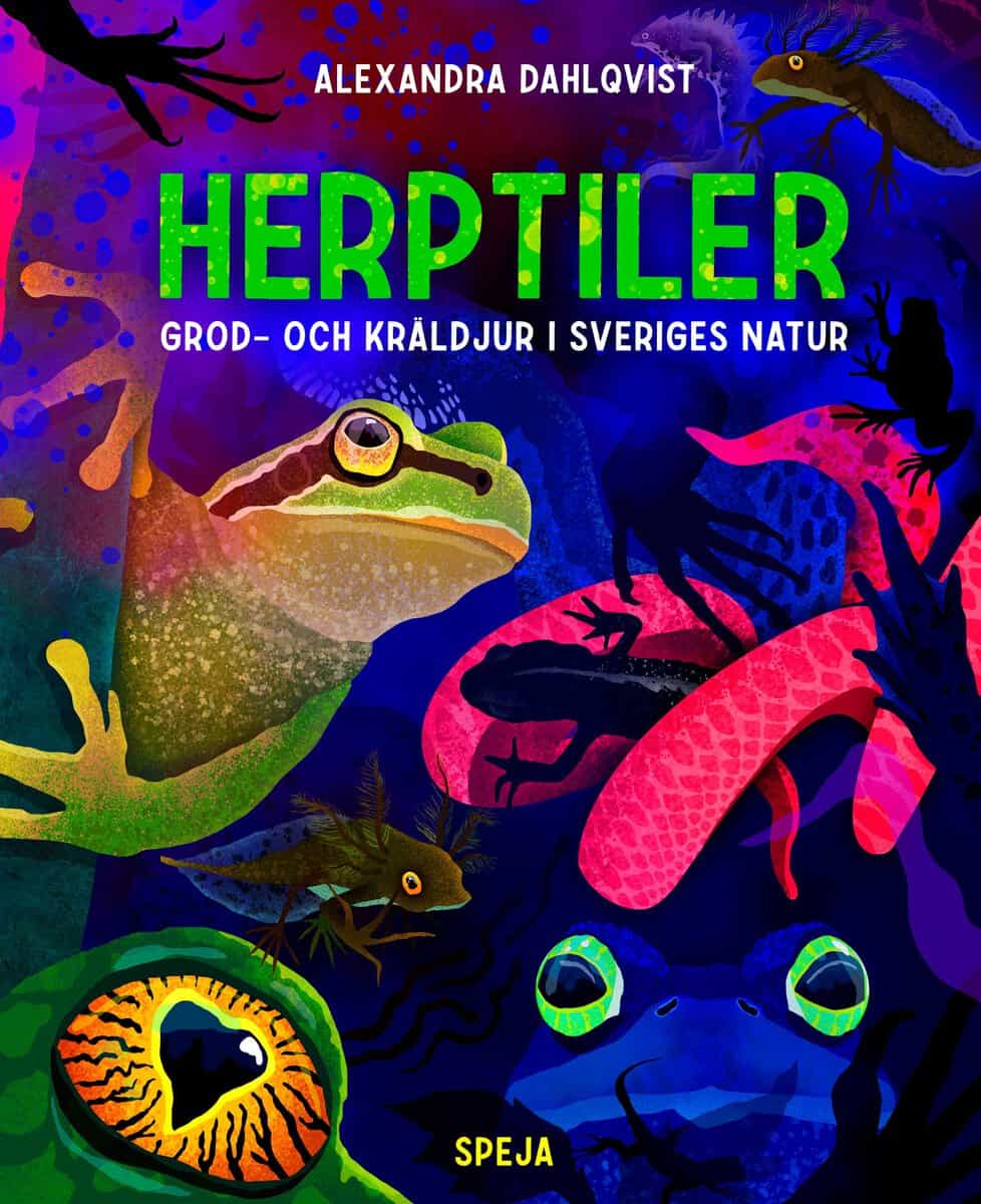 Alexandra Dahlqvist : Herptiler