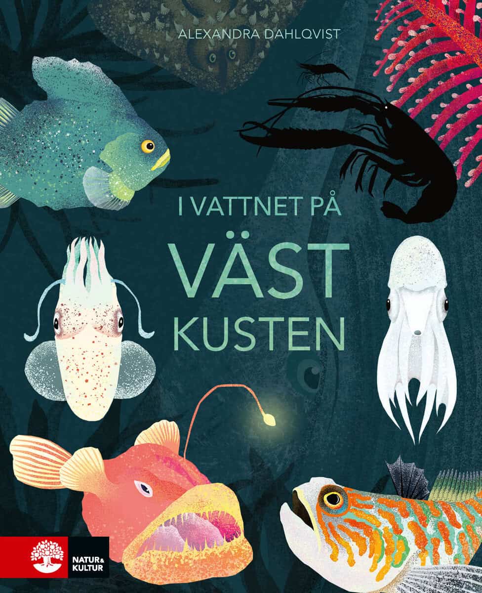 Alexandra Dahlqvist : I vattnet på västkusten