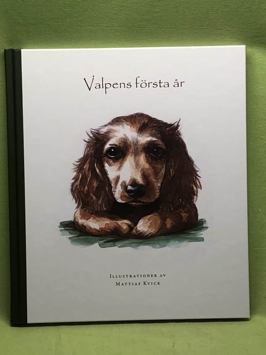 Alexandra Leonkrone : Valpens första år