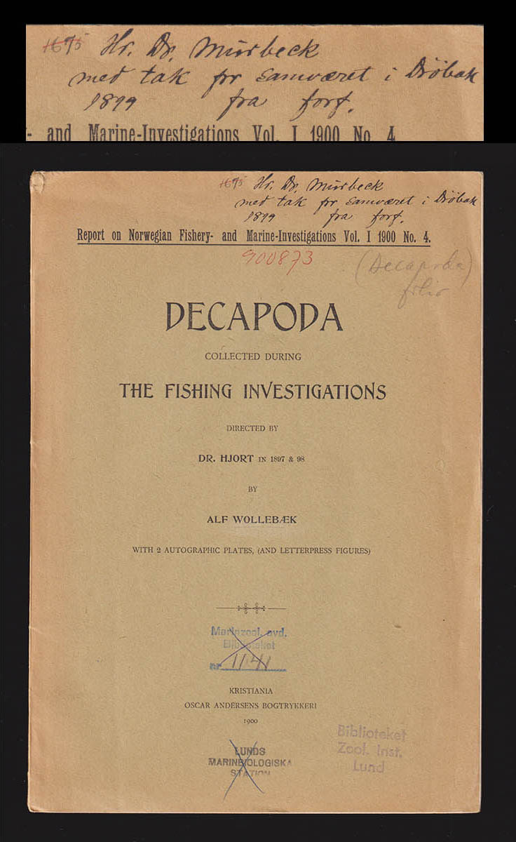 Alf Wollebæk : Decapoda. Collected during the fishing investigations directed by Dr. Hjort in 1897 & 98. With 2 (i denna 3 planscher) autographic plates, (and letterpress figures) (dedikation)