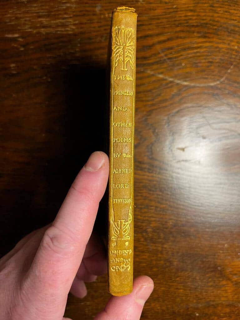 Alfred Lord Tennyson : The Princess and other poems