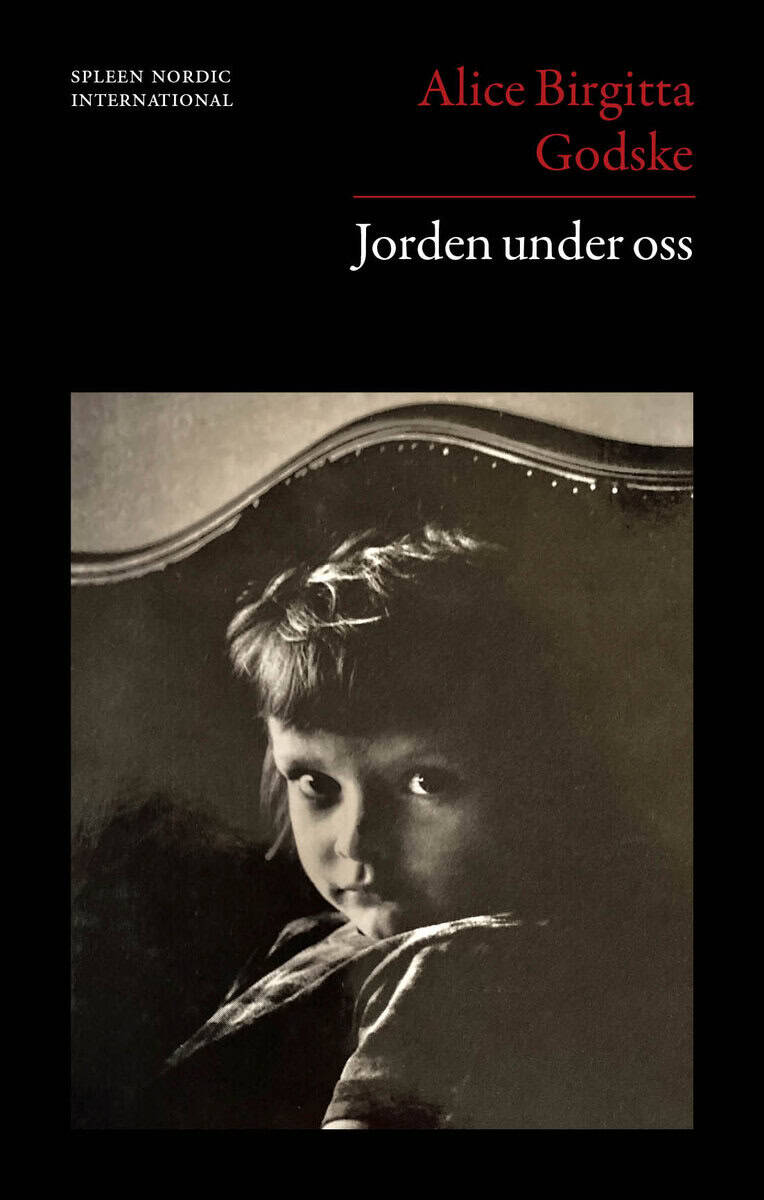 Alice Birgitta Godske : Jorden under oss