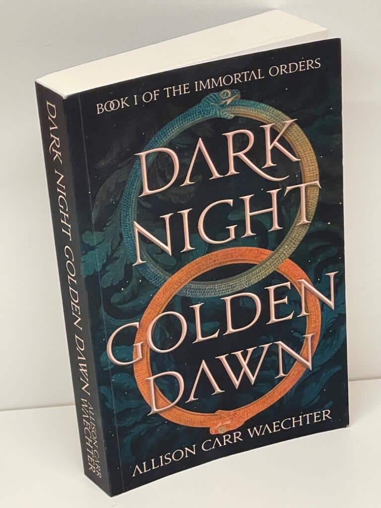 Allison Carr Waechter : Dark Night Golden Dawn
