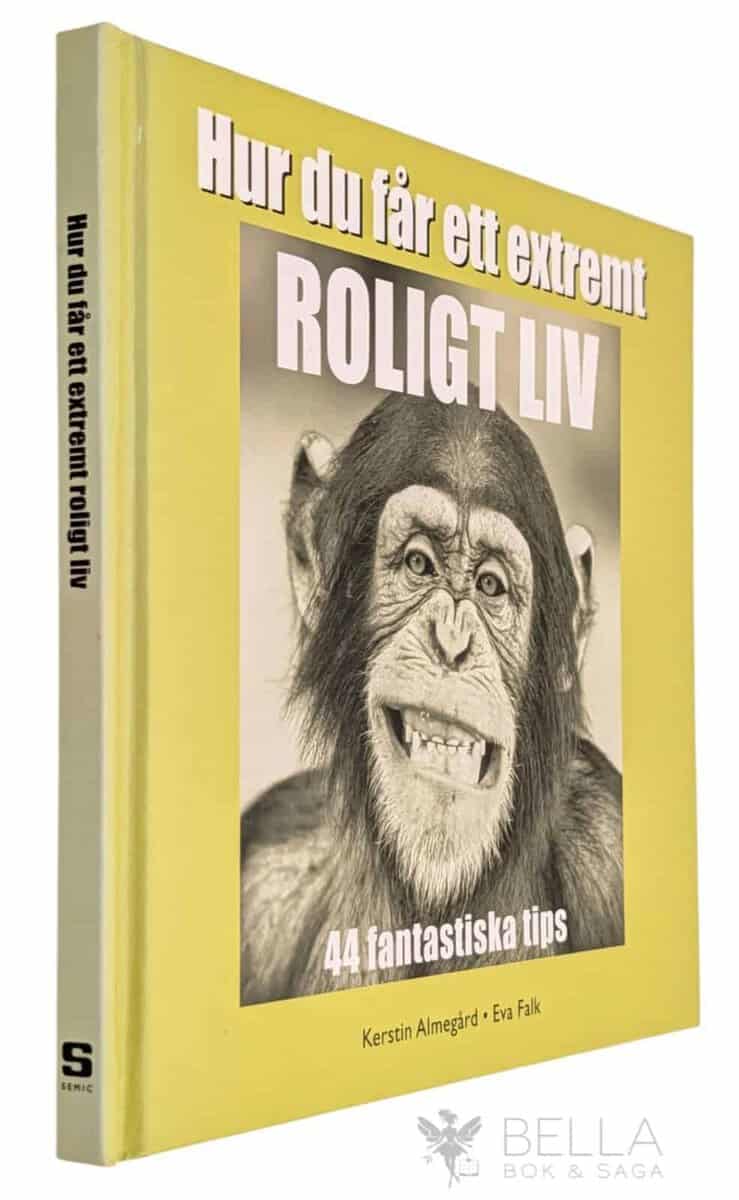 Almegård, Kerstin ; Falk, Eva : Hur du får ett extremt roligt liv