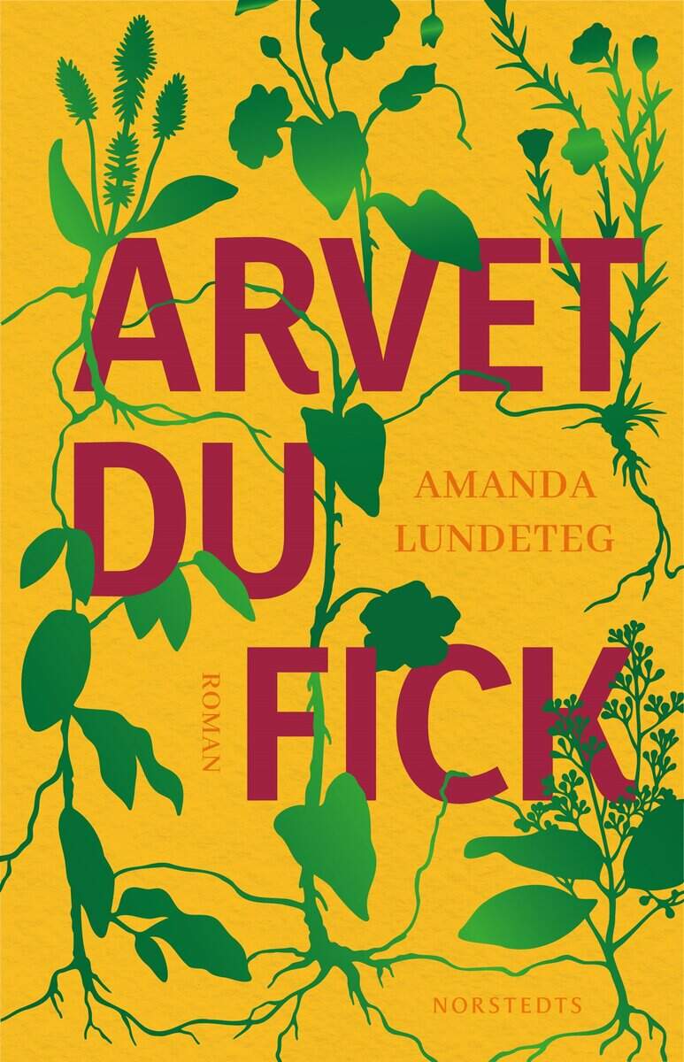 Amanda Lundeteg : Arvet du fick