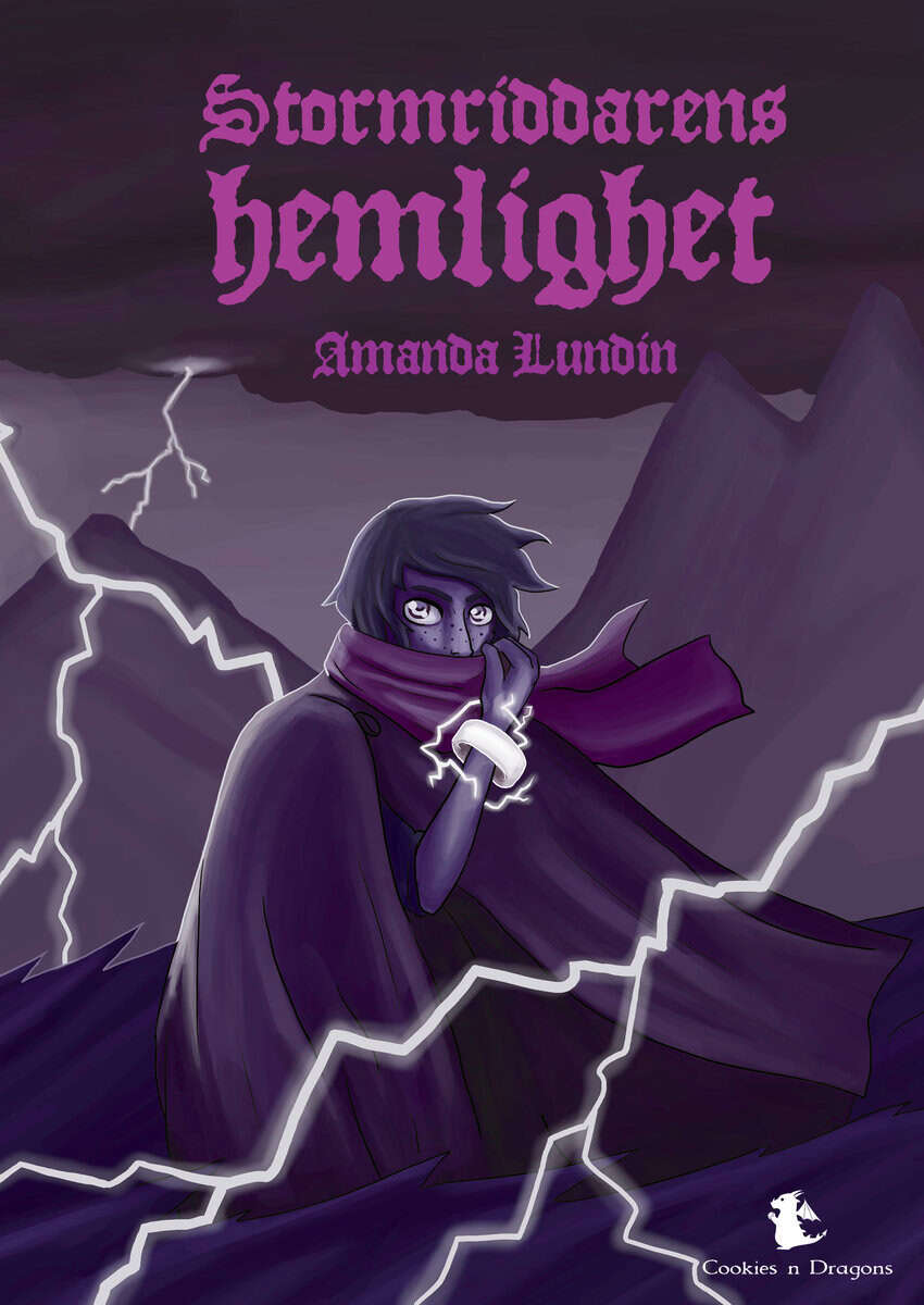 Amanda Lundin : Stormriddarens hemlighet