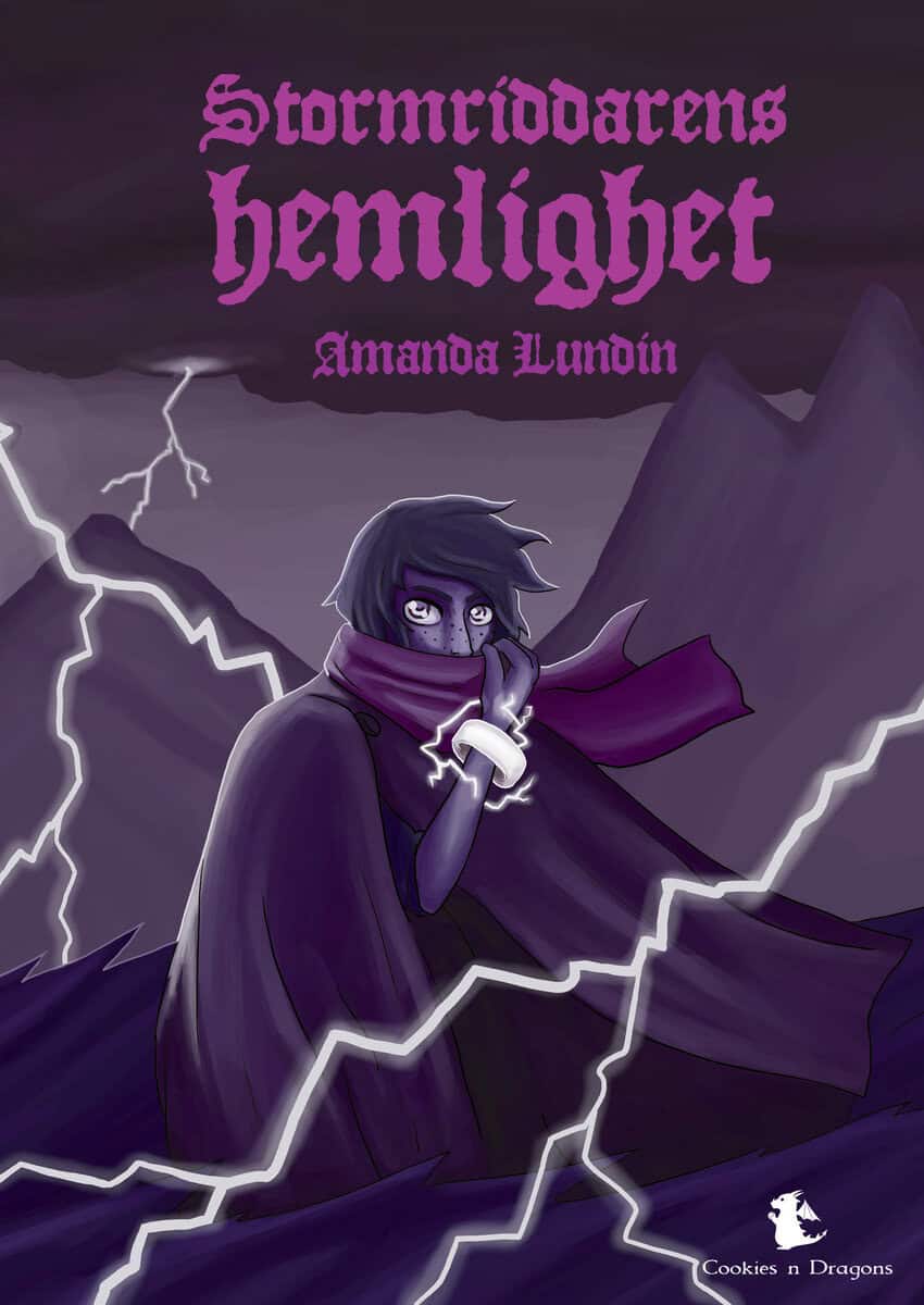 Amanda Lundin : Stormriddarens hemlighet