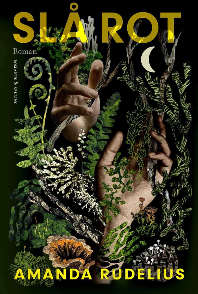 Amanda Rudelius : Slå rot