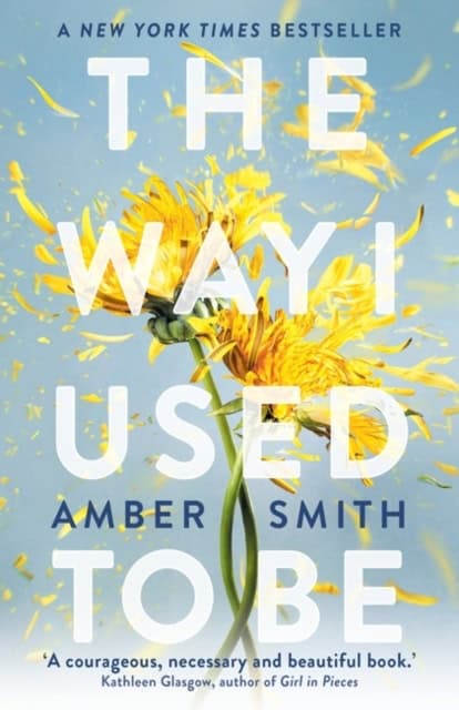 Amber Smith : The Way I Used to Be