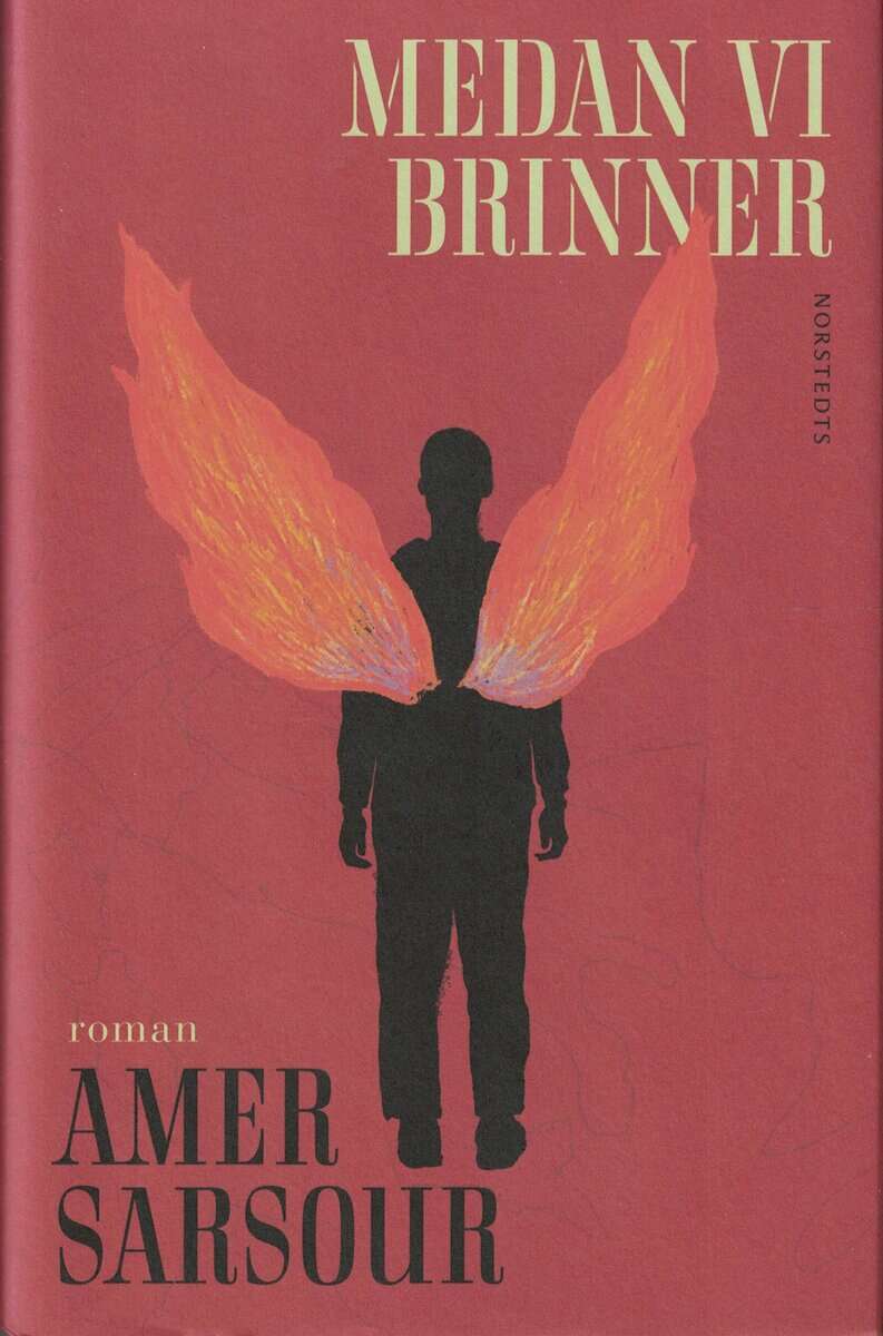 Amer Sarsour : Medan vi brinner