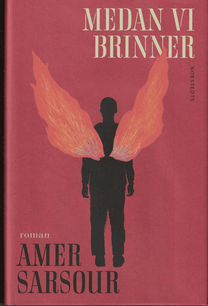 Amer Sarsour : Medan vi brinner