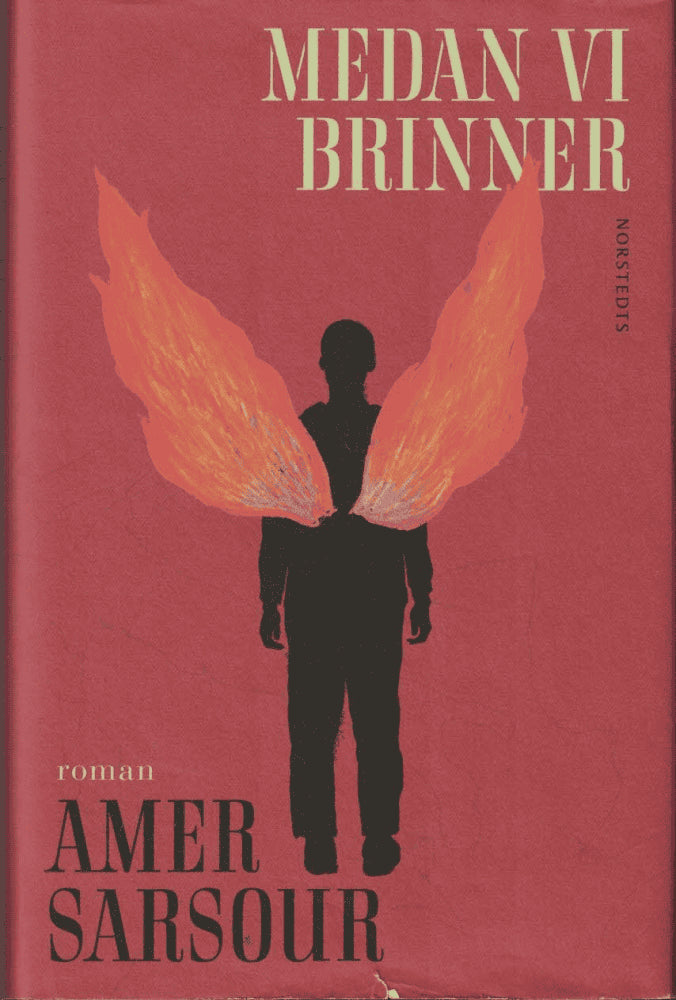 Amer Sarsour : Medan vi brinner