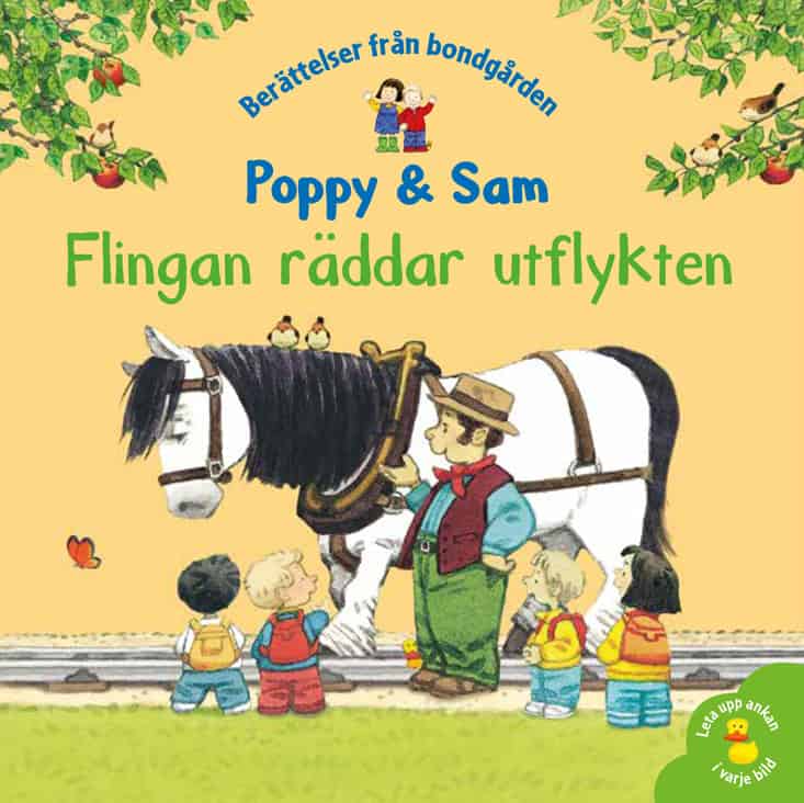 Amery, Heather ; Cartwright, Stephen : Flingan räddar utflykten