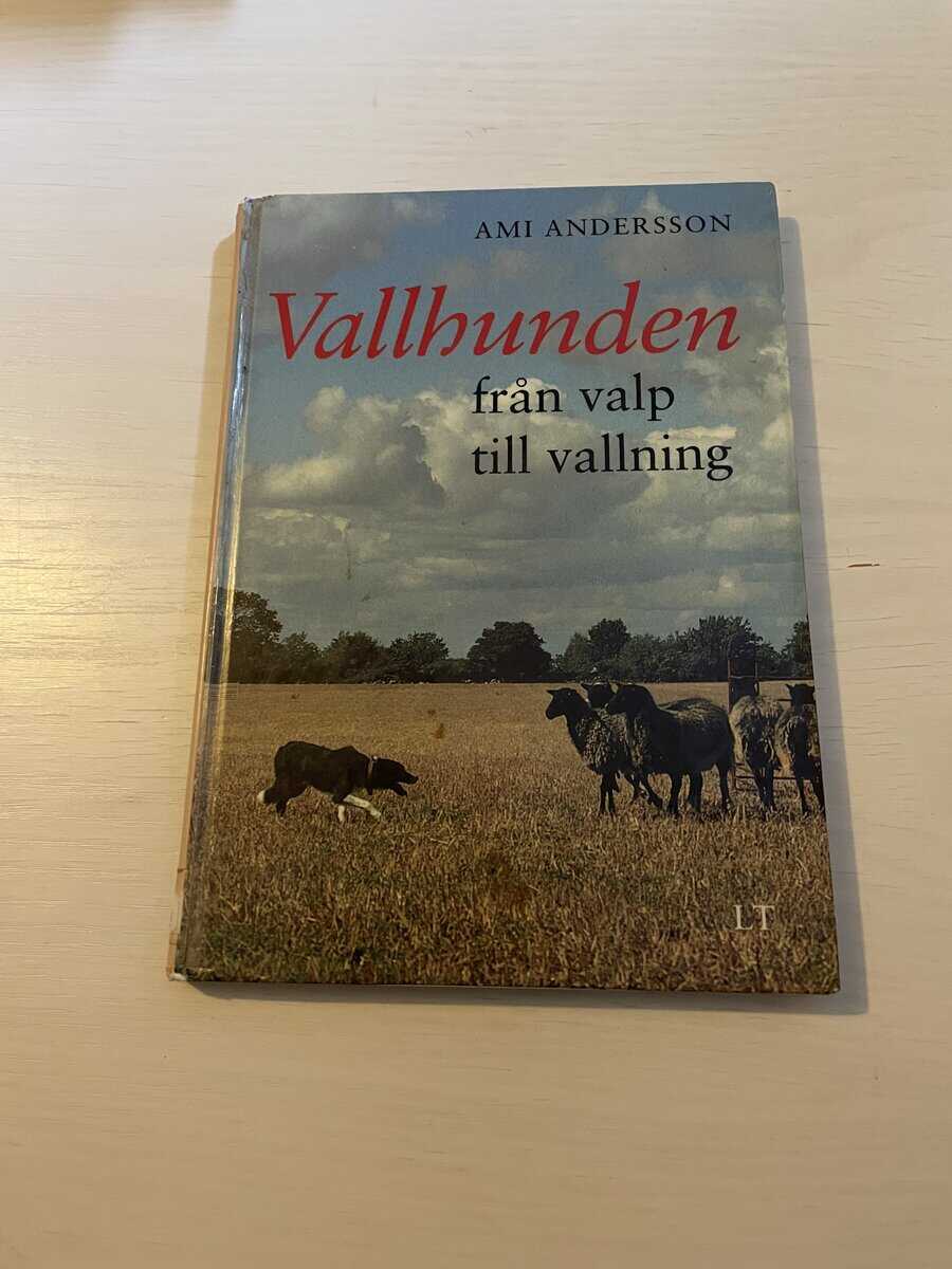 Ami Andersson : Vallhunden - från valp till vallning