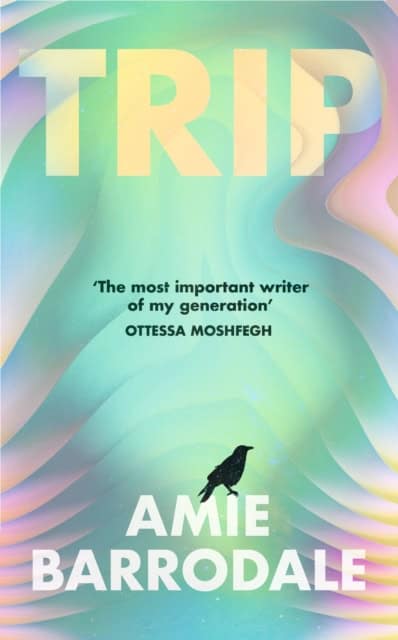 Amie Barrodale : Trip