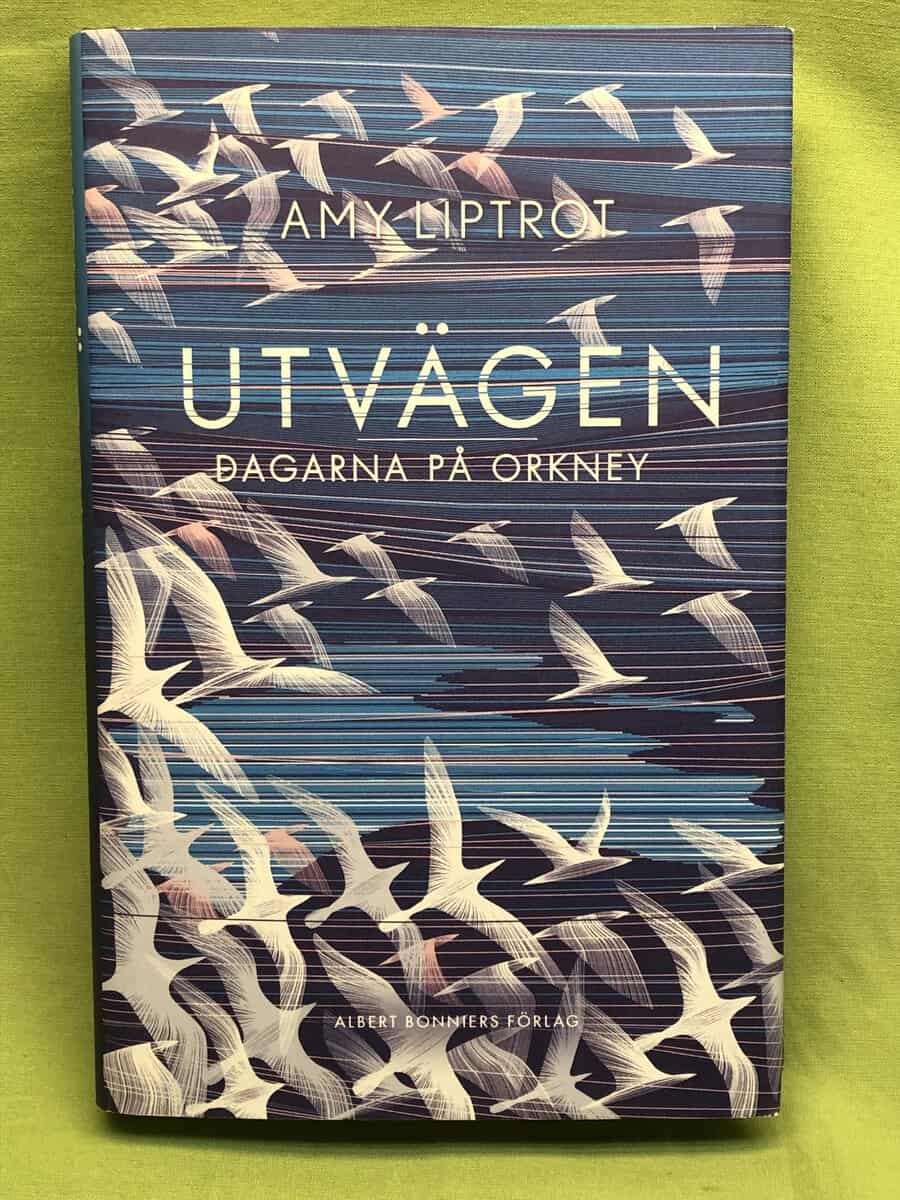 Amy Liptrot : Utvägen