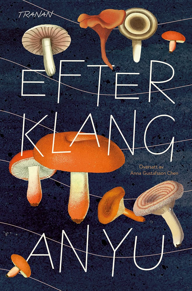 An Yu : Efterklang