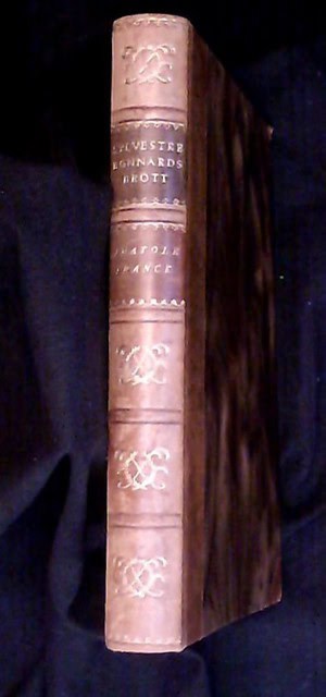 Anatole France : Sylvetre Bonnards brott