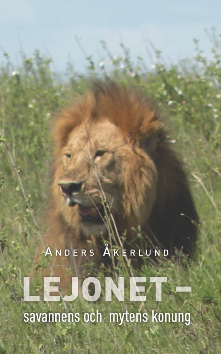 Anders Åkerlund : Lejonet