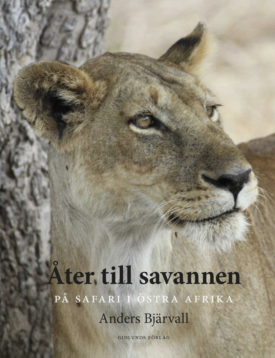 Anders Bjärvall : Åter till savannen : på safari i Östra Afrika