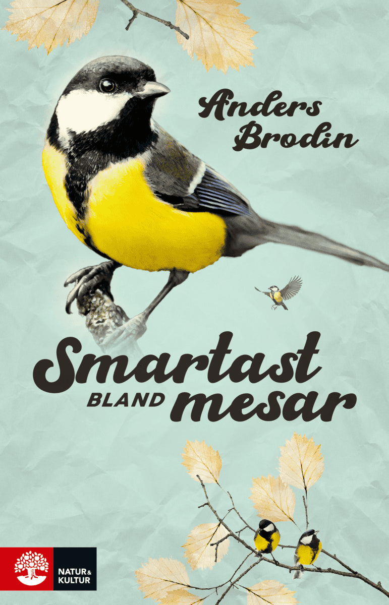 Anders Brodin : Smartast bland mesar