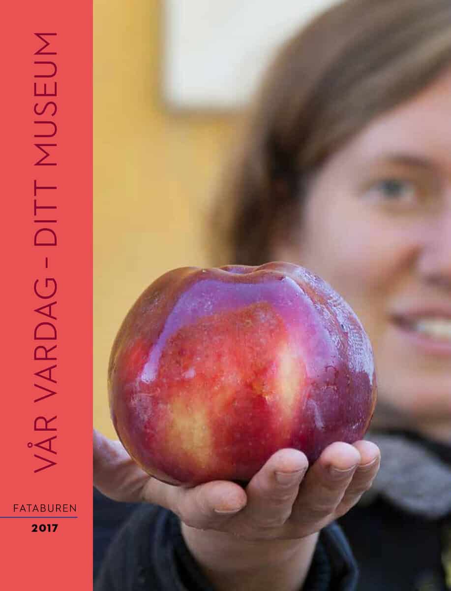 Anders Carlsson : Vår vardag - ditt museum