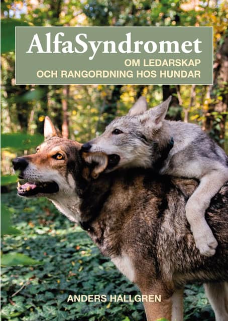 Anders Hallgren : Alfasyndromet : om ledarskap och rangordning hos hundar