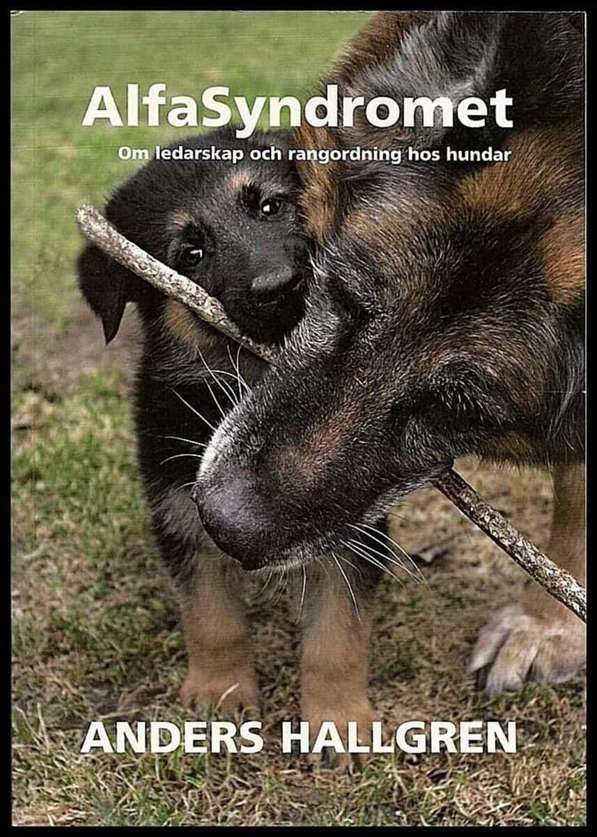 Anders Hallgren : Alfasyndromet