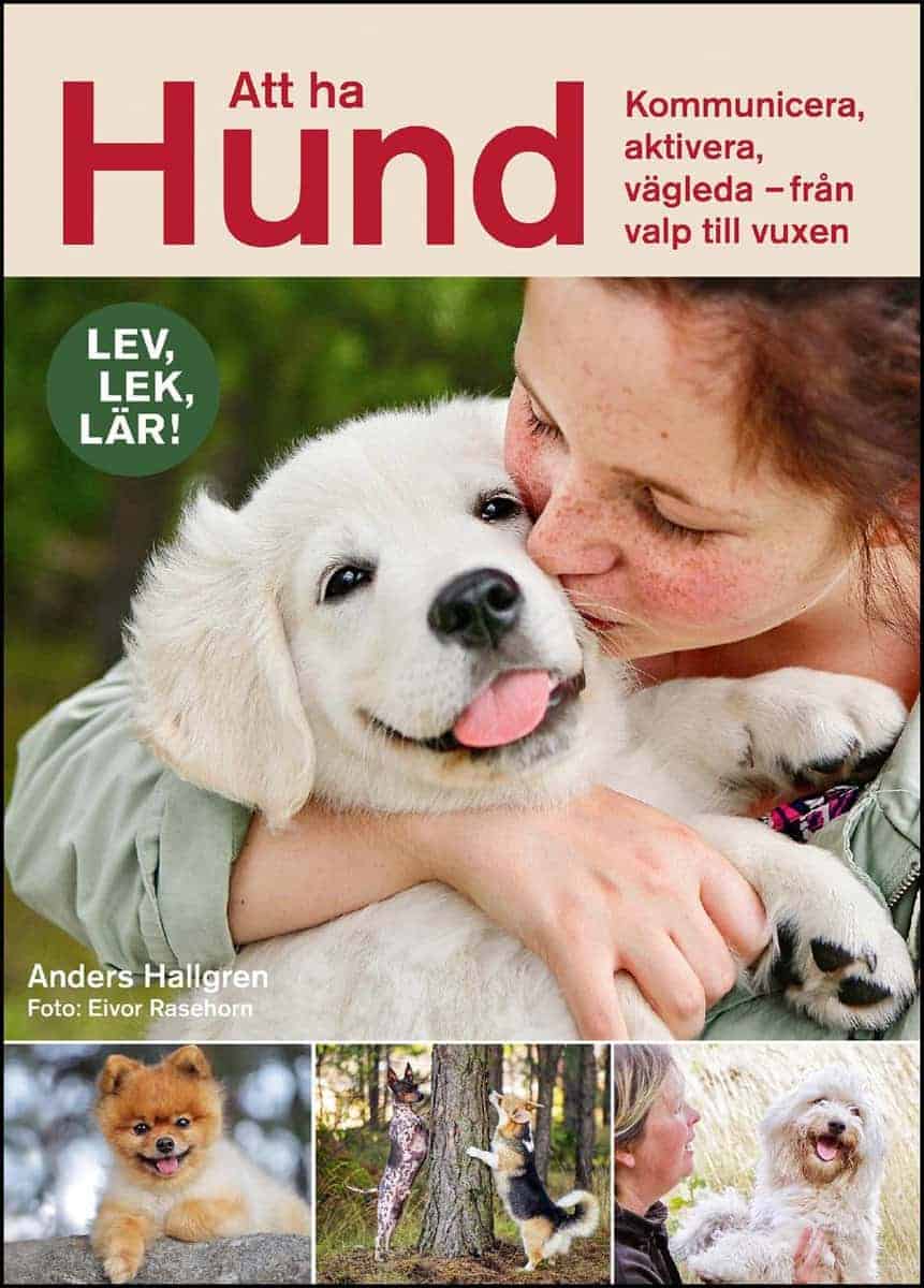 Anders Hallgren : Att ha hund
