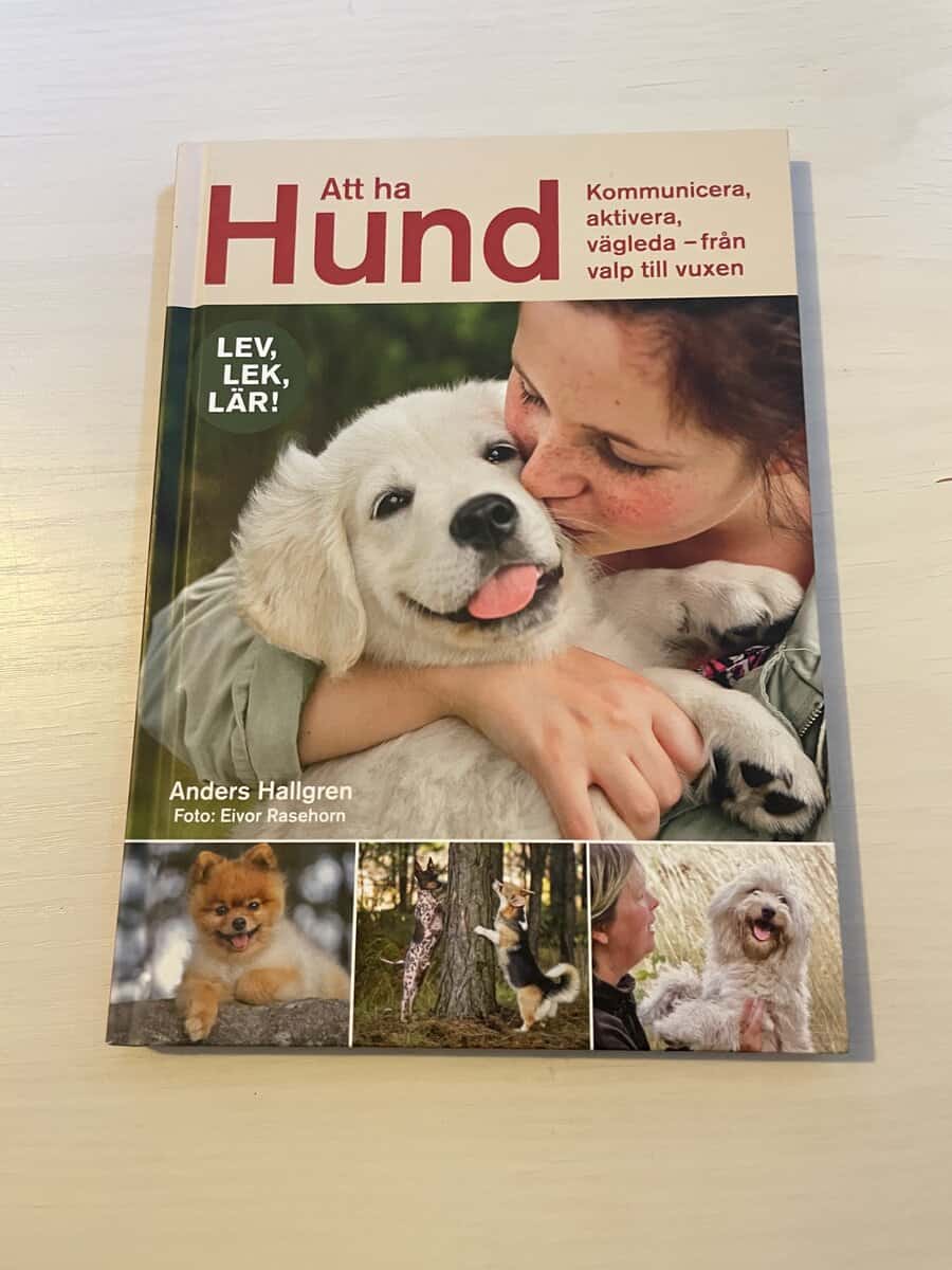 Anders Hallgren : Att ha hund kommunicera, aktivera, vägleda – från valp till vuxen