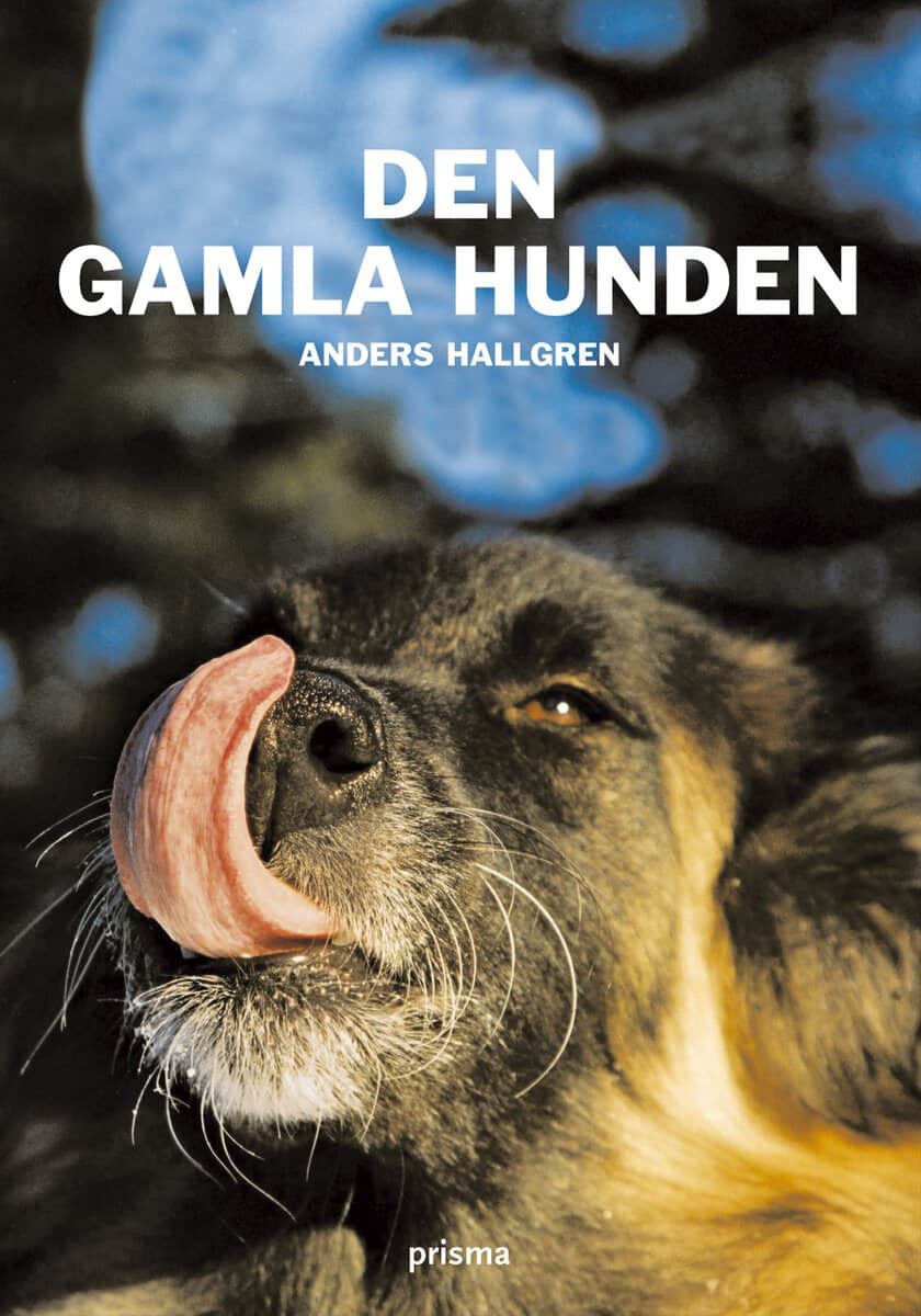 Anders Hallgren : Den gamla hunden