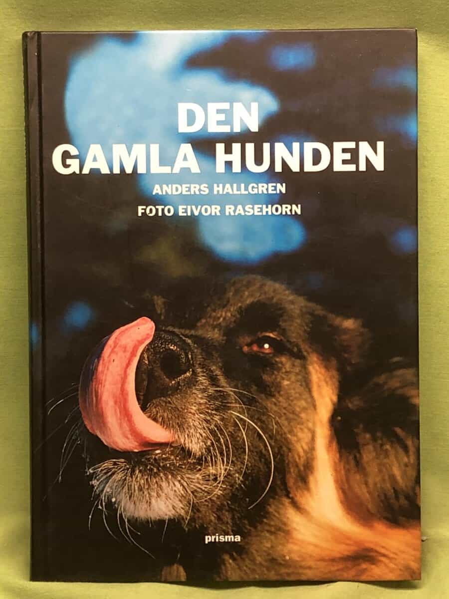 Anders Hallgren : Den gamla hunden