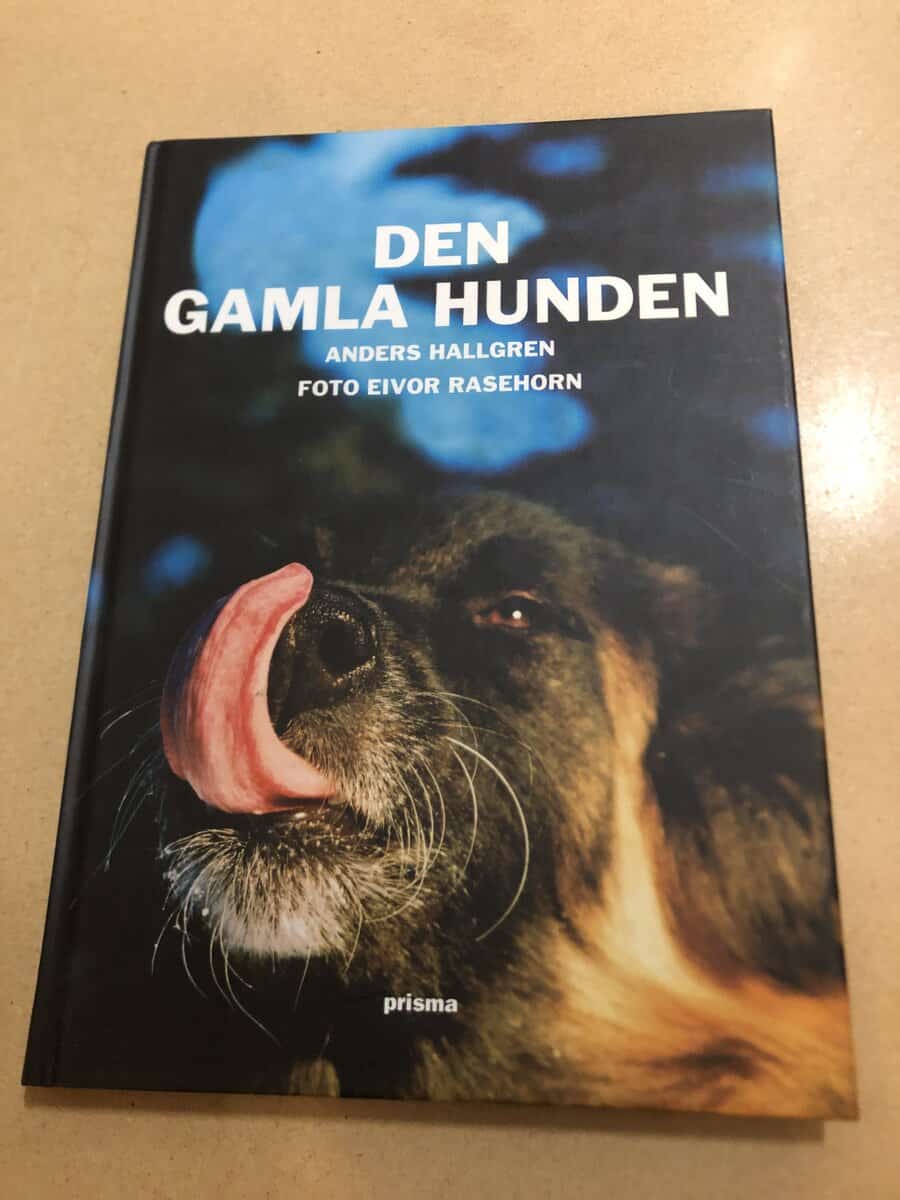 Anders Hallgren : Den gamla hunden om den äldre hundens fysiska och psykiska välbefinnande